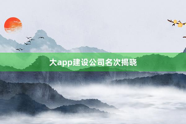 大app建设公司名次揭晓
